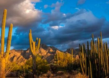 Lluvias torrenciales y altas temperaturas en Sonora