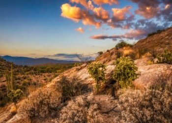 Se esperan lluvias intensas: Sonora y 7 estados en alerta