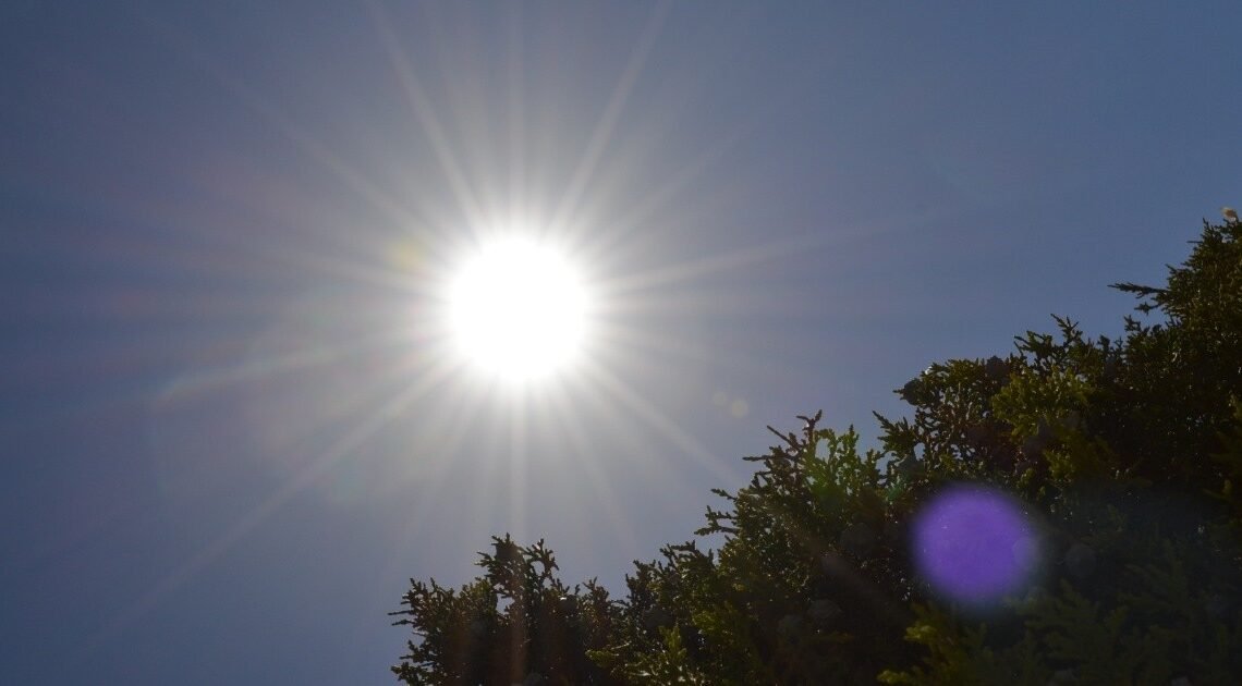 Incrementa 50% ingresos de pacientes a urgencias por padecimientos de calor Incrementa 50% ingresos de pacientes a urgencias por padecimientos de calor