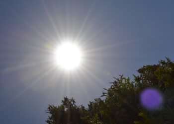 Incrementa 50% ingresos de pacientes a urgencias por  padecimientos de calor