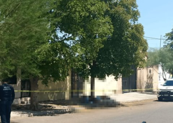 Hombre en situación de calle fallece bajo un arbol; posible golpe de calor