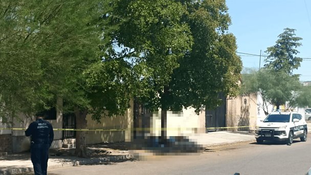 Hombre en situación de calle fallece bajo un arbol; posible golpe de calor Hombre en situación de calle fallece bajo un arbol; posible golpe de calor