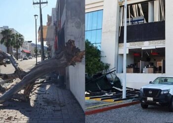 Tormenta nocturna: Protección Civil atiende 79 reportes en Hermosillo
