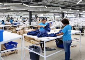 Se perdieron más de 230 mil empleos en enero