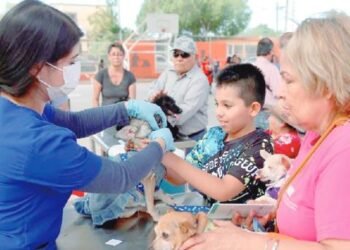 Realiza Impba más de 6 mil castraciones de perros y gatos en Hermosillo