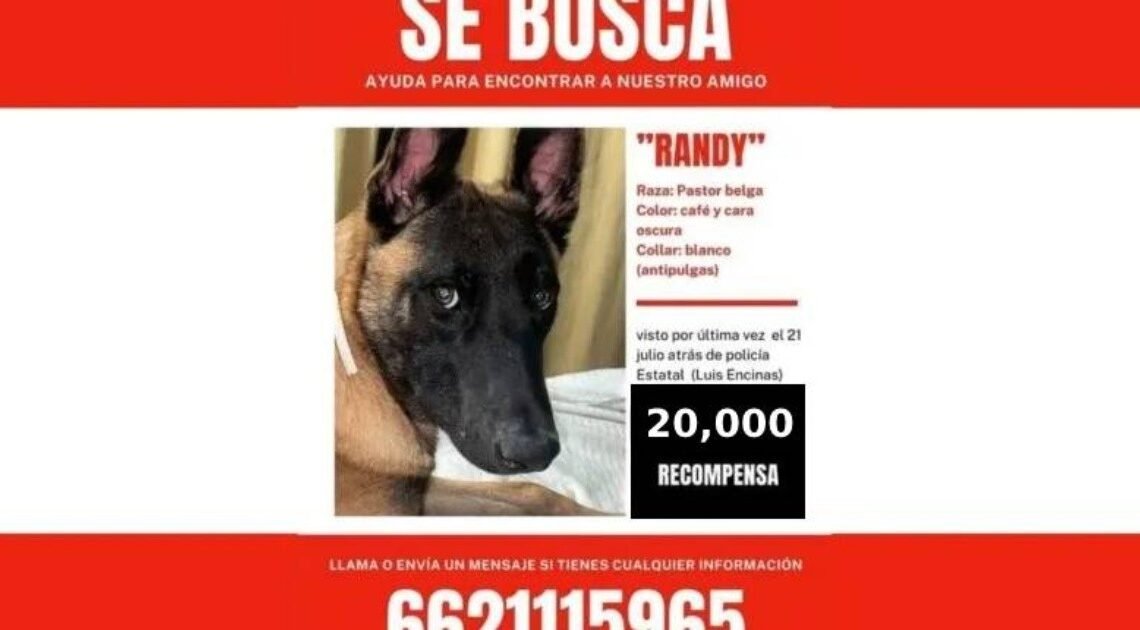Familia sube recompensa a 20 mil pesos por localizar a “Randy”