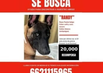 Familia sube recompensa a 20 mil pesos por localizar a “Randy”