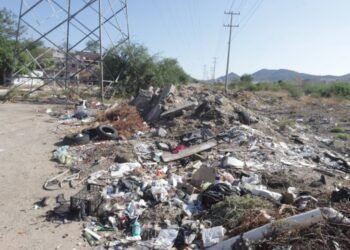 Hermosillo: Vecinos de la Insurgentes piden limpieza de predio