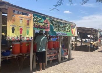 Afecta calor a comerciantes; ventas disminuyen hasta en 40%