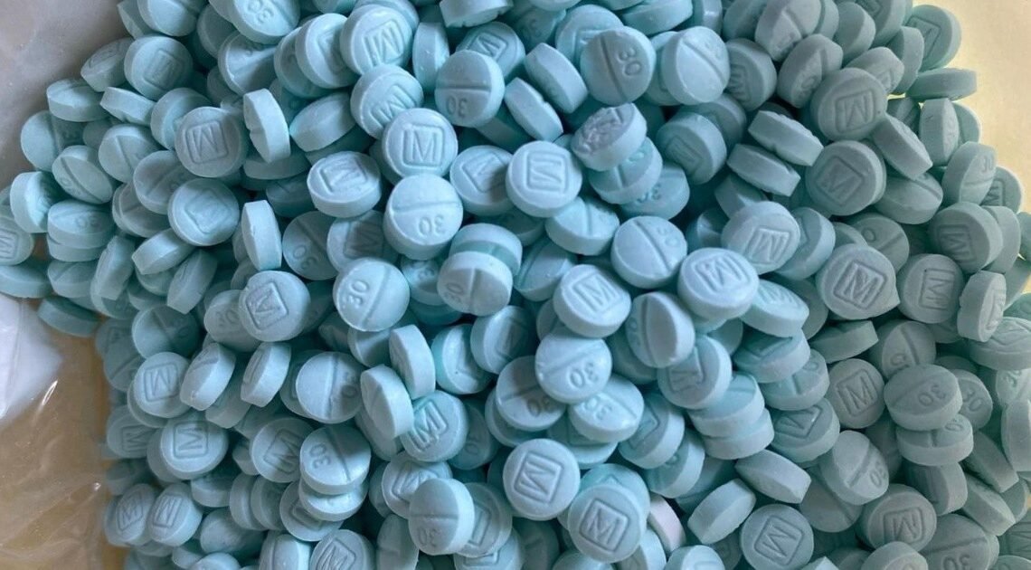 Detectan consumo de fentanilo en Hermosillo; se está mezclando con otras drogas advierten Detectan consumo de fentanilo en Hermosillo; se está mezclando con otras drogas advierten