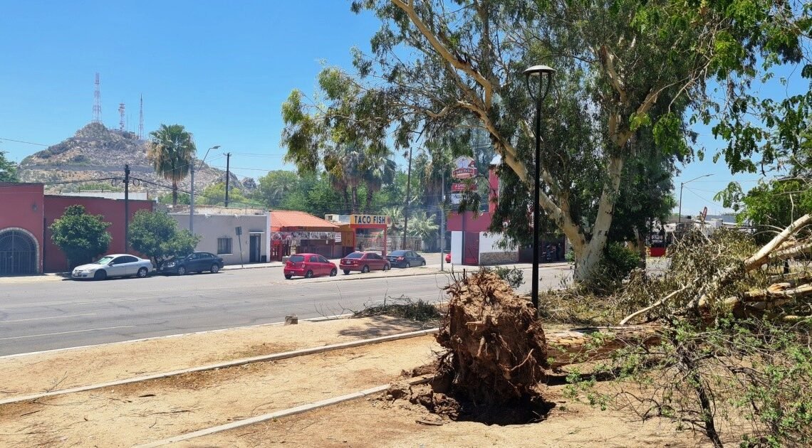 Hermosillo: Aumentan reportes ciudadanos hasta un 159% por lluvias