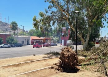 Hermosillo: Aumentan reportes ciudadanos hasta un 159% por lluvias