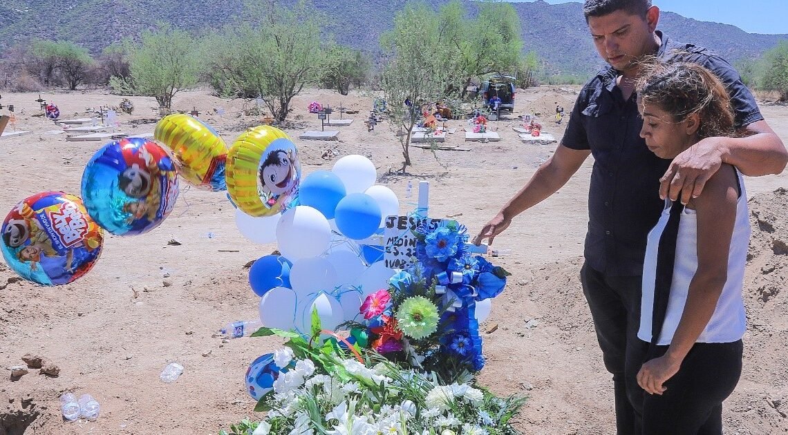 Sí murió el niño Jesús David por rickettsia; hay dos hermanos más infectados: Salud Sonora