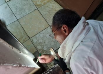 Enferma de rickettsia mujer de 86 años en Hermosillo; Salud Sonora revisa su casa, esto fue lo que encontraron