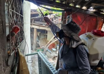 Descartan rickettsia en mujer de 86 años de El Mariachi en Hermosillo
