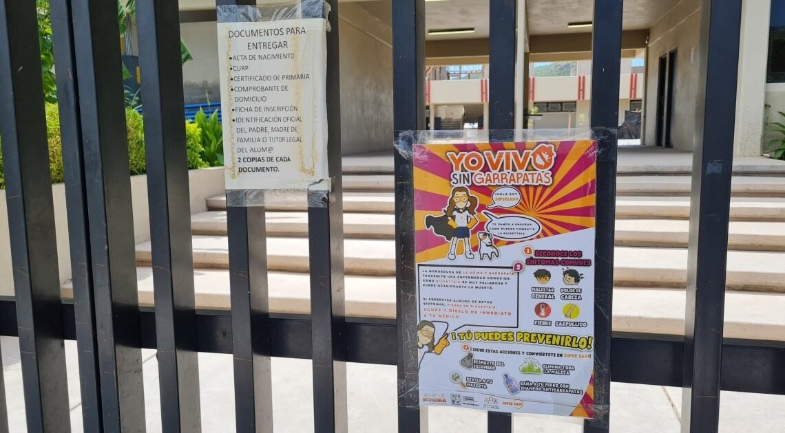 Cierran secundaria en Hermosillo para fumigarla por plaga de garrapatas