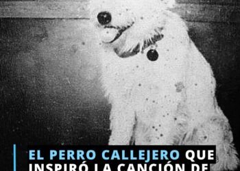 El perro callejero que inspiró la canción de Alberto Cortez