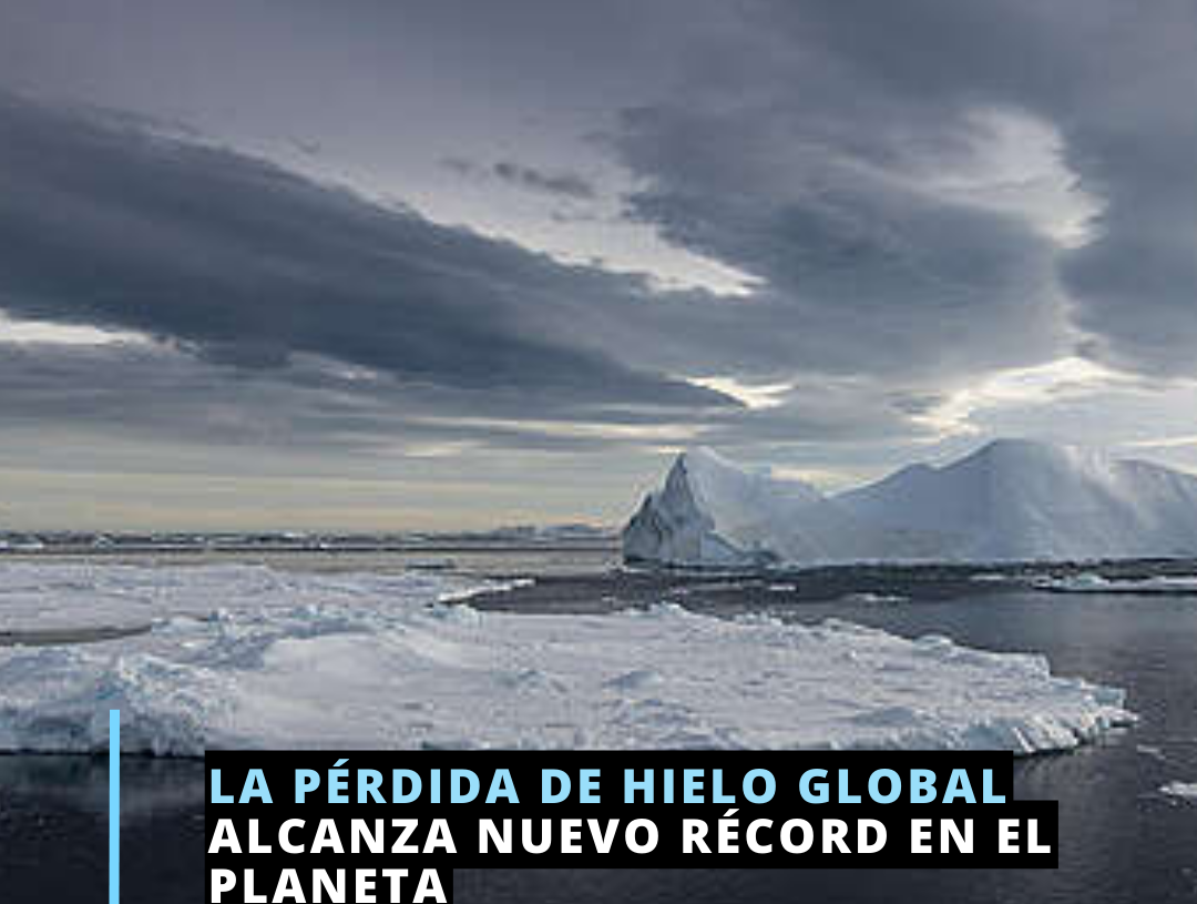 Alcanza hielo marino nivel más bajo en la historia