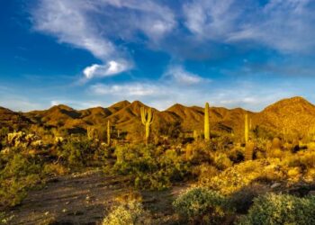 ¡Lluvias y Mucho Calor! Sonora se Prepara para una Semana Intensa