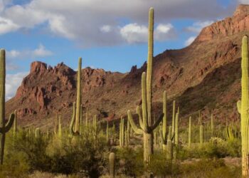 Lluvias y Clima Ameno se Avecinan en Sonora