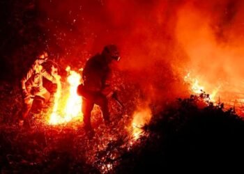 Tragedia en Hawái: Dos Mexicanos entre los 106 Fallecidos en Incendios