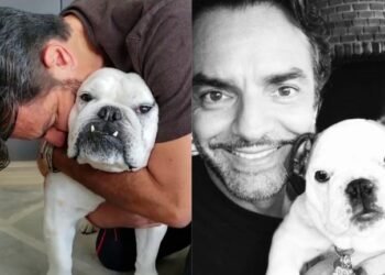 Eugenio Derbez se Despide con Dolor de su Fiel ‘Fiona’