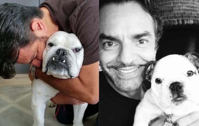 Eugenio Derbez Se Despide Con Dolor De Su Fiel ‘Fiona’ – ForoCuatro