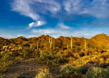 Alerta en Sonora por Lluvias Aisladas y Máximas de 46°C