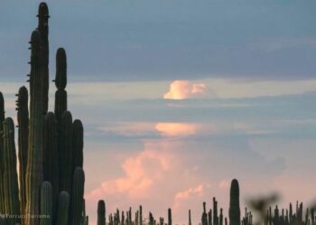 Sonora Empapada: Lluvias Permanecen en el Pronóstico