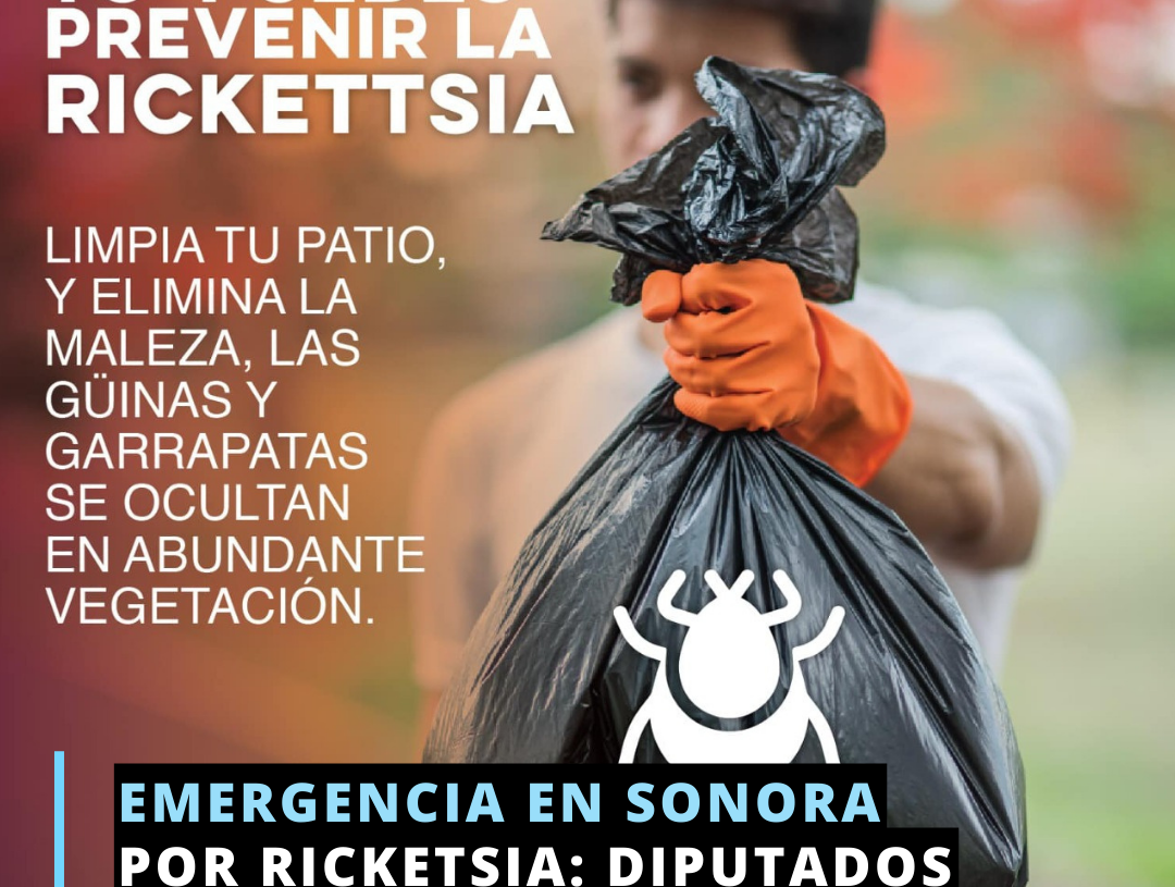Piden declarar a Sonora en emergencia sanitaria por Rickettsia Piden declarar a Sonora en emergencia sanitaria por Rickettsia