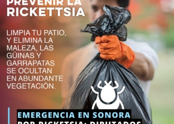Piden declarar a Sonora en emergencia sanitaria por Rickettsia
