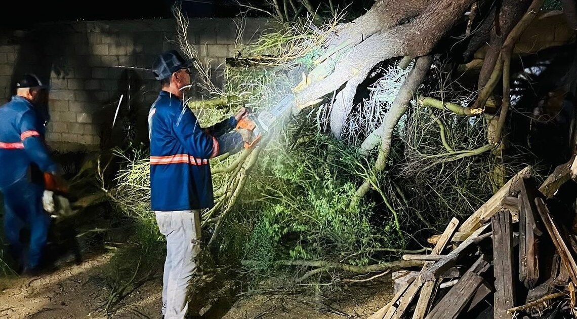 Reporte de incidentes tras lluvia nocturna en Hermosillo: Ocho casos atendidos