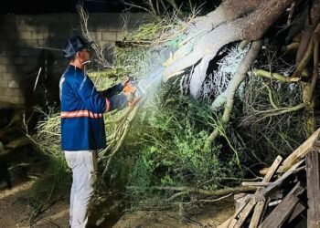 Reporte de incidentes tras lluvia nocturna en Hermosillo: Ocho casos atendidos