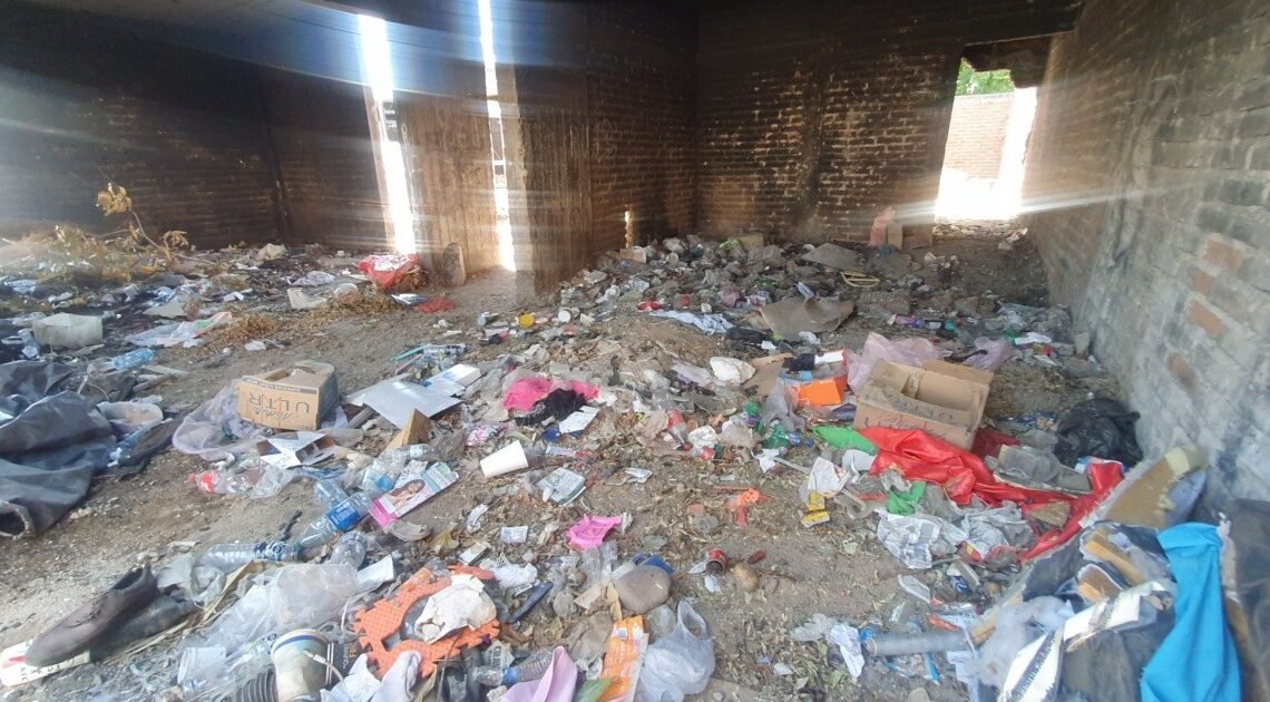 Aseguran tienen plaga de ratas por un basurero clandestino en la colonia Emiliano Zapata de Hermosillo Aseguran tienen plaga de ratas por un basurero clandestino en la colonia Emiliano Zapata de Hermosillo