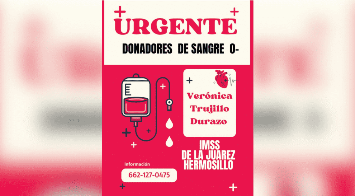 Tras colisión con tren, Verónica Trujillo Durazo quedó en estado delicado: Urgen donadores de sangre para su recuperación Tras colisión con tren, Verónica Trujillo Durazo quedó en estado delicado: Urgen donadores de sangre para su recuperación