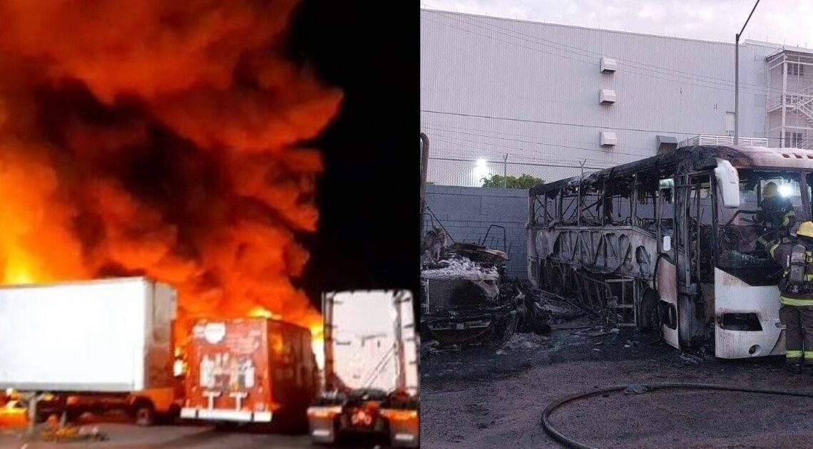 Hermosillo: Incendio en taller de Mercedes Benz arrasa con más de diez vehículos