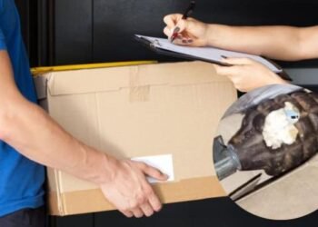 Joven compra celular por Mercado Libre y recibe una granada