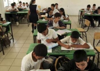 Maestros están inquietos por nuevos planes de estudio