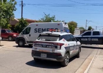 Causa alarma perro muerto en una maleta en la colonia El Sahuaro