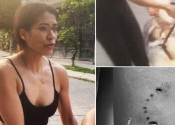 Denuncian a mujer que ordenó a su husky matar a otro perro en Jalisco
