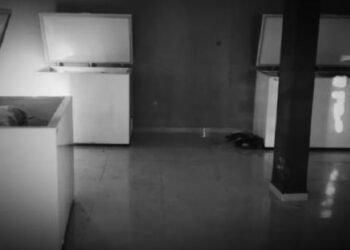 Forenses analizan restos humanos congelados encontrados en Poza Rica