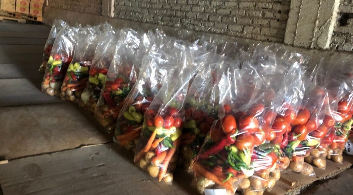 Prevén agricultores de la Costa de Hermosillo buena cosecha