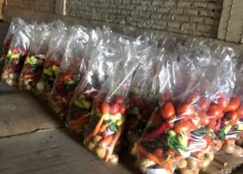 Prevén agricultores de la Costa de Hermosillo buena cosecha