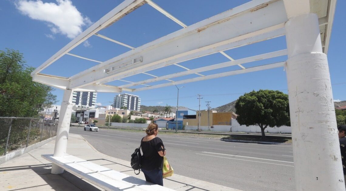 En Hermosillo faltan 400 paradas de camión, principalmente en colonias