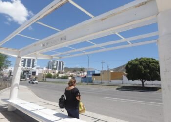 En Hermosillo faltan 400 paradas de camión, principalmente en colonias