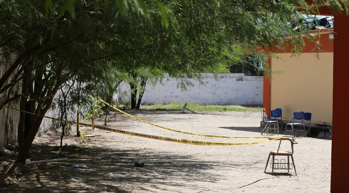 Abejas atacan en secundaria de Hermosillo pican a 50 y 4 van al hospital:  “Los estudiantes corrían en estampida para resguardarse”, director