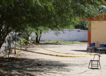 Abejas atacan en secundaria de Hermosillo pican a 50 y 4 van al hospital:  “Los estudiantes corrían en estampida para resguardarse”, director