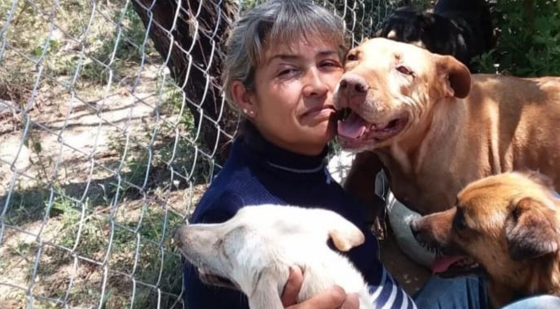 Hermosillo: Rescatista necesita dos toneladas de croquetas para 161 perros