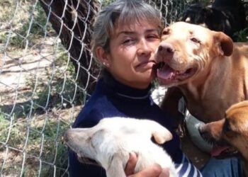 Hermosillo: Rescatista necesita dos toneladas de croquetas para 161 perros
