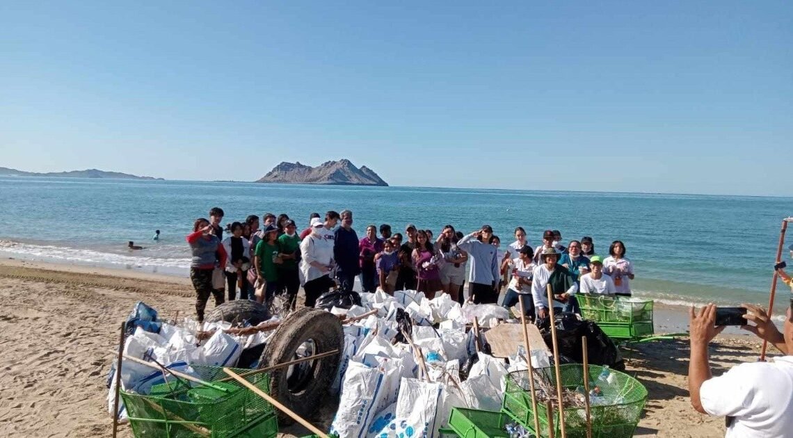 Grupos ambientalistas recolectan más de 500 kilos de basura en Bahía de Kino Grupos ambientalistas recolectan más de 500 kilos de basura en Bahía de Kino